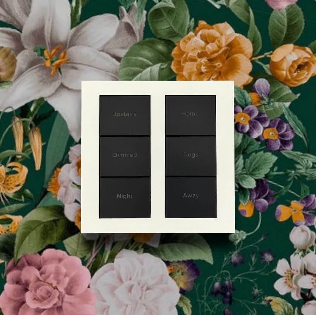 AU-XSS3_Gray